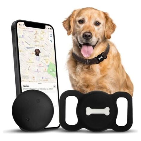 Traceur de chien GPS étanche IP68 – Suivi en temps réel sans frais mensuels – Compatible iOS avec application Find My