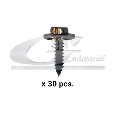 3RG 86121 TORNILLO CARROCERÃƒÂA (PACK 30 PCS)