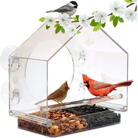 Mangeoire à oiseaux de fenêtre avec porte-graines coulissant et 4 ventouses extra fortes. Grandes mangeoires à oiseaux pour l'extérieur. Forme de nichoir. (1/5)