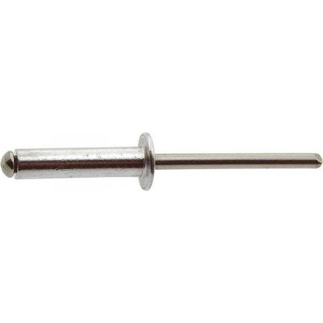 500 Rivets Aveugles Tête Plate Alu/Inox 3.2 x 10 mm - Inox A2 - D-Work