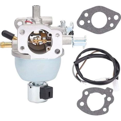 Carburateur 350776 350775 350777 35777A 356777 356776 pour Moteur 846944 (1/5)