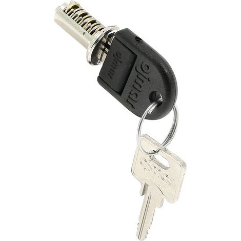 Cylindre interchangeable UNO 2 clés variure 01 – Finition nickelée – Résistance au crochetage – Pour portes standard – Ojmar