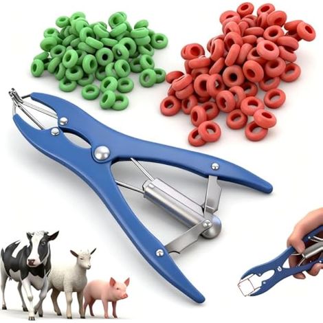 Pince de Castration pour Mouton - Outil Ergonomique en Métal et Plastique, avec Elastique Flexible - Longueur 22 cm, Application Sécurisée et Pratique pour Animaux et Ballons - Accessoire Agricol (1/4)