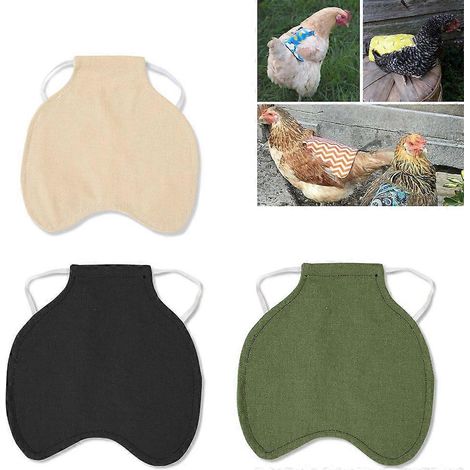 Lot de 3 protections dorsales pour selle de poulet, tablier de poulet et fixateur de plumes (1/5)