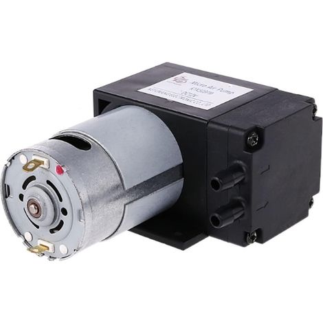 Petite pompe submersible réglable 12 V Mini à vide 8 L/min (1/5)