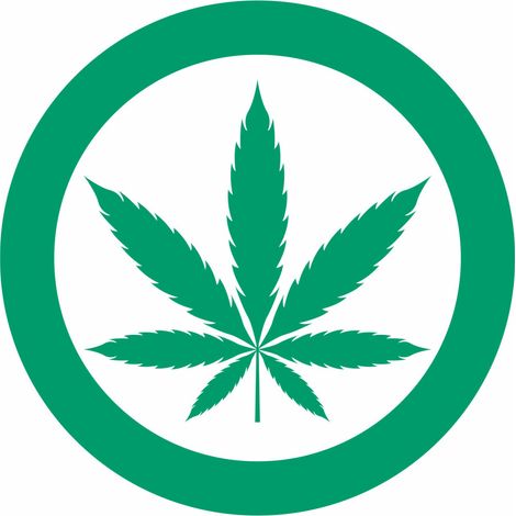 Metafranc Hinweisschild Cannabis erlaubt 15 x 15 cm