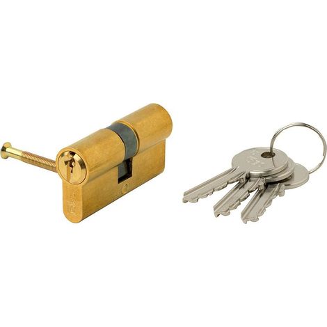 Cilindro Europeo Iseo F5 30x30 Ottonato Camma Lunga