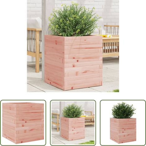 Jardinière pour fleurs - Jardinière 40x40x46 cm bois massif de douglas (1/5)