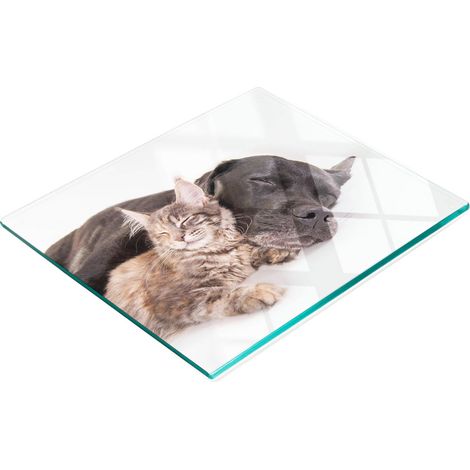 Tagliere da cucina decorativo in vetro temperato con motivo cane e gatto, 60x52 cm (1/5)