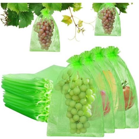 Sac Protection Fruits 100 Pièces Sachet Protection Raisin, Jardin Plant Fruits Protection Sac, Jardin Protéger Sacs Protéger - sh (1/4)
