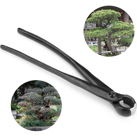 Tijeras de podar cóncavas de acero inoxidable para bonsáis, corte recto y preciso: herramienta profesional para una poda fina y limpia.