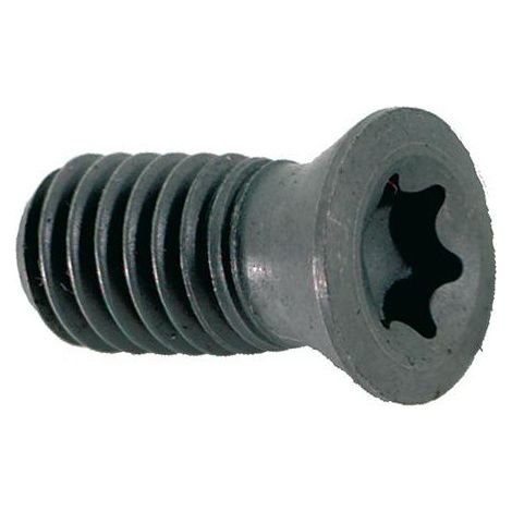 Vis Torx. MS3510 (Par 10) (1/2)