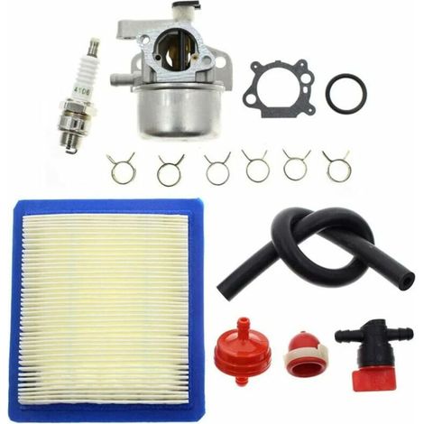 799866 Kit carburateur avec et filtre à air Compatible avec moteurs Briggs & Stratton 790845 799871 799866 796707 79430 (1/5)