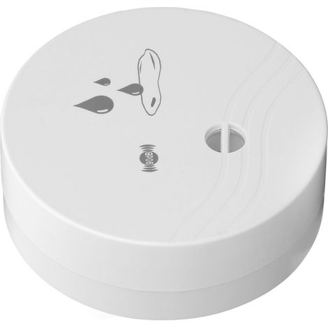 Détecteur d'Inondation Étanche avec Alarme 100dB pour Salle de Bain et Sous-sol (1/5)