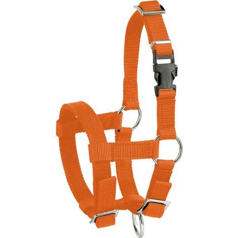 1 Licol Alpaga, Fermeture Clip, Orange, Taille Réglable, Polypropylène Souple, Élevage (1/3)
