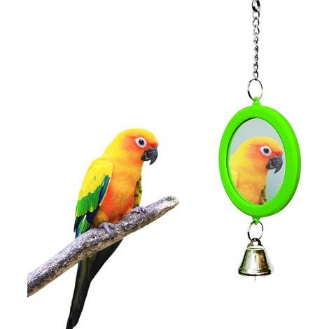 Acrylic Mirror Toy with Bell and Plastic Trim, 22cm, for Budgies, Cockatiels, Canaries, and Cages (1/5)