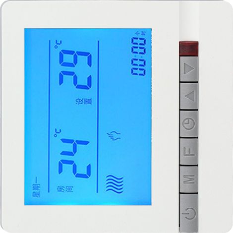 Thermostat avec écran LCD, capteur de température haute précision, protection contre la surchauffe et régulateur de température (1/5)