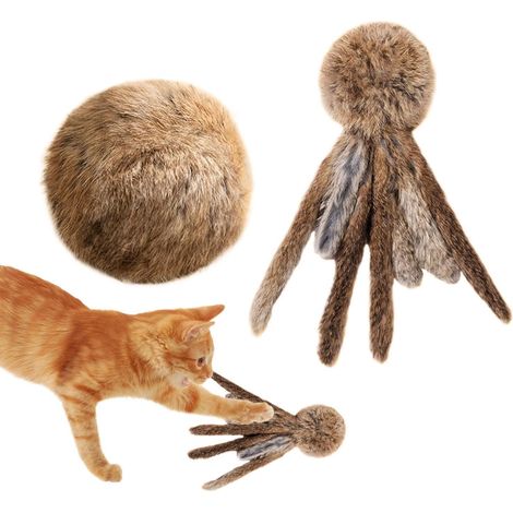 en Peluche à Chats et Mastication de Balles en peluche Pour propriétaires, dresseurs, appartement, maison, bureau, refuge, chambre, salon et étude (1/5)