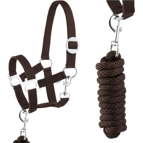 1 Kit Longe Licou Cheval Nylon Réglable Corde 2m Mousqueton Équitation Poney (1/5)