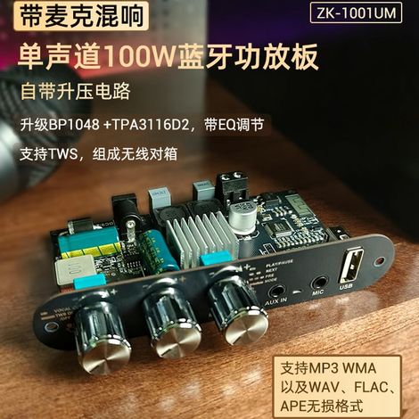 1001UM 100W Bluetooth Amplifier Board with Karaoke Microphone Reverb Mono 100W Bluetooth Power Speaker TWS Outdoor Speaker TPA3116 (1/5)