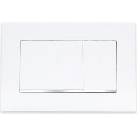 Geberit Delta30 Zweimengenspülung WC-Bedienfeld, Alpinweiß (115.137.11.1) (1/2)