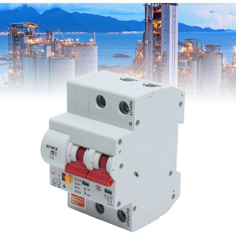 Interrupteur intelligent 2P avec télécommande, Wi-Fi et Bluetooth, disjoncteur 125 A (1/5)