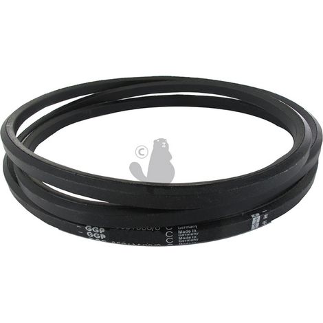Vite - Ggp - 135065700/0