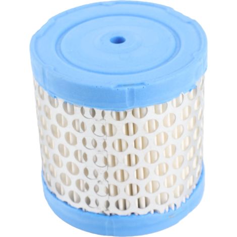 Filtre à air tondeuse pièce de rechange améliorée compatible avec Briggs 396424 (1/5)