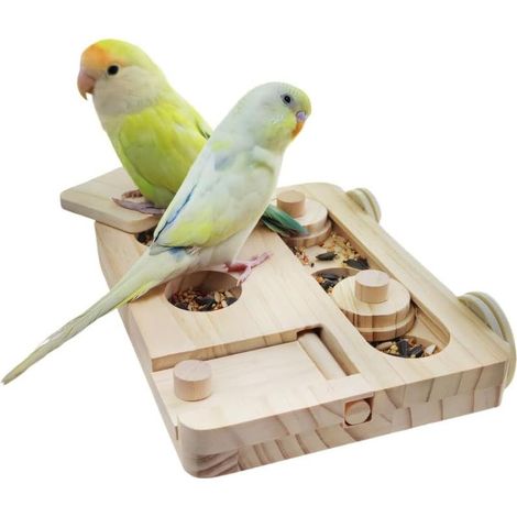 Jeu de Recherche de Nourriture pour Oiseaux,Perchoir Suspendu pour Perroquets,avec Plusieurs Trous et Couvercle Coulissant,pour Petits et Moyens Perroquets,Perruches Ondulées,Calopsittes,Inséparables (1/5)