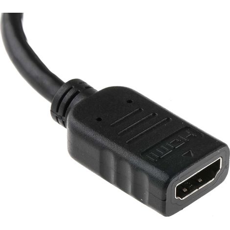 Câble de port d'affichage RS PRO, en 150mm Noir ( Prix pour 1 ) (1/3)
