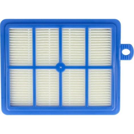 Filtre Hepa allergie de rechange pour aspirateur Electrolux Ergospace, Excellio, Twinclean, UltraOne, S-Bag commeAEF13W, AEF 13 W, H13. (1/4)