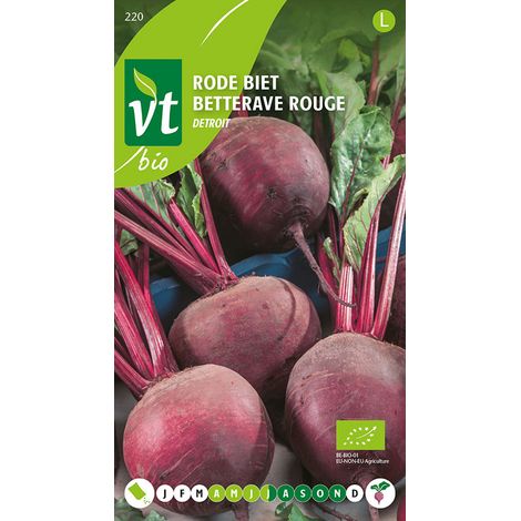 Bio Betterave Rouge Detroit - Ca. 4 gr (Livraison Gratuite)