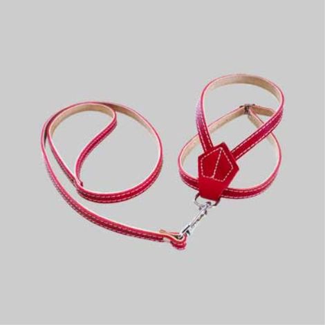 Parure per cani 10x500 mm