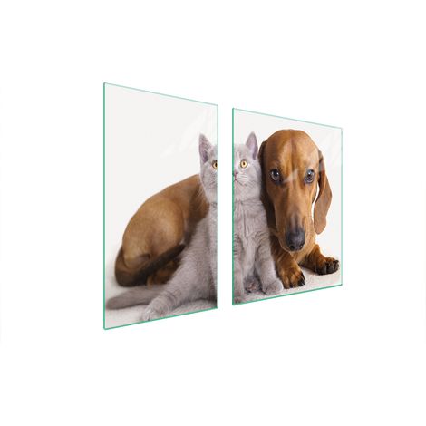 PLATO DE VIDRIO Y TABLA DE CORTAR 100x52 ANIMALES (1/5)