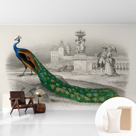 Papier peint intissé pour salon chambre à coucher peint imprimé Installation facile - Colle incluse gratuite Plumes colorées 416x254 cm (1/5)