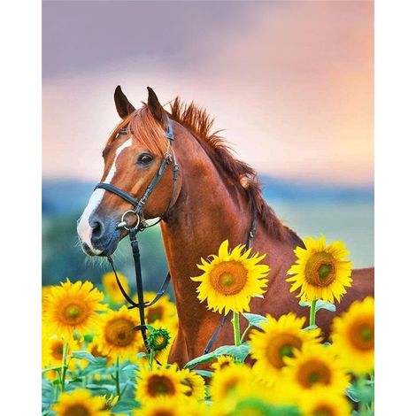 Cuadro para pintar por números - Caballo con girasol, 30x40 cm.