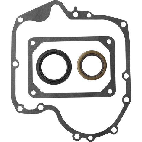 Crankcase gasket for camshaft 793880 697110 795387 (1/5)