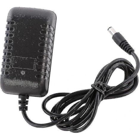 Ladegerät kompatibel mit Kinder-Elektroautos – Zuverlässiges 12V/1000mA-Bleiakku-Ladegerät (1/4)