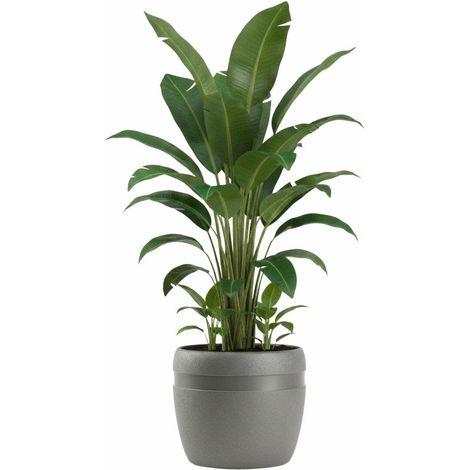 LUNA CLASSIC Blumentopf, anthrazit, 32,8 cm (1/5)