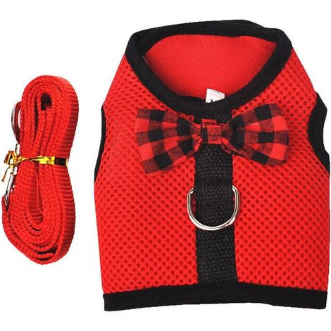 Laisse pour animaux de compagnie - Rouge - Taille M (1/5)