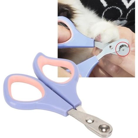 GUE Coupe Griffe / Ongle Chat Chien, Ne Coupe Pas de Veine d'animaux GU345