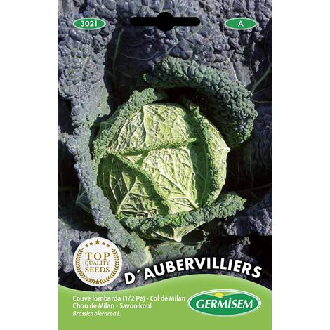 graines Chou de Milan D´AUBERVILLIERS (1/2)