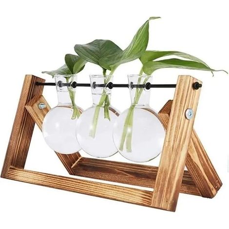 Vase bulbe en verre avec support en bois et métal noir, jardinière hydroponique, décoration de bureau rétro (1/4)