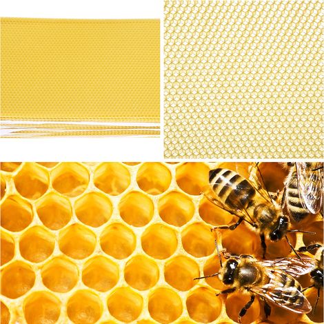 30 Pièces Feuilles de Cire d'Abeille Ruche Fond de Rayon pour Apiculteur Kit Abeilles (1/3)