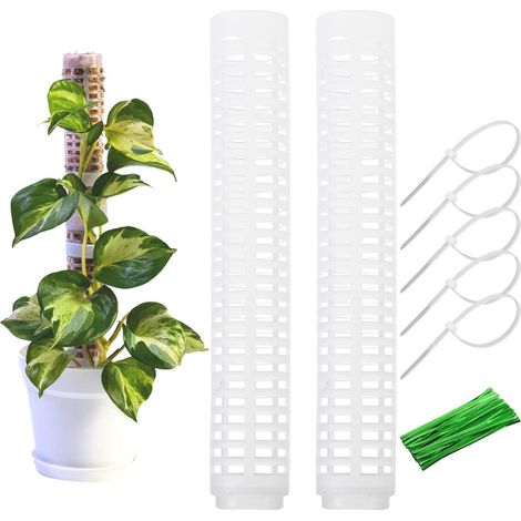 Moss column for climbing plants – set of 2 trellises for Monstera and houseplants, garden trellis--DTEKGAZ