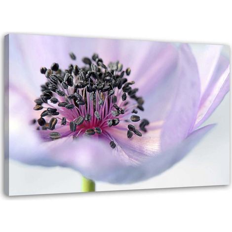 Tableau sur toile Fleur violette Nature Macro 100x70 (1/5)