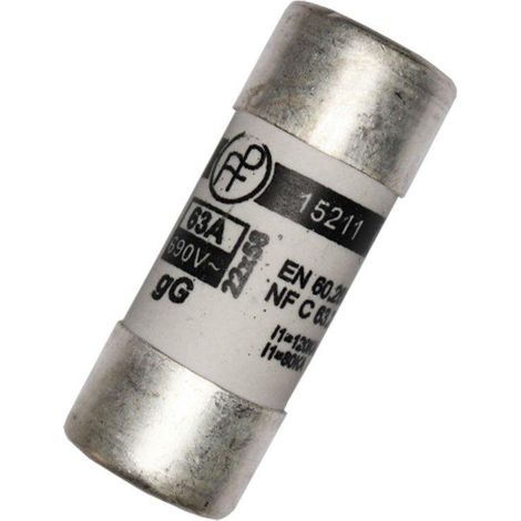 edm MT2 63A fusible électrique argentée 63 Ampères