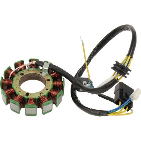 Bobines de stator compatibles avec générateur magnétique pour quad Kazuma 500 500cc J500 (1/5)