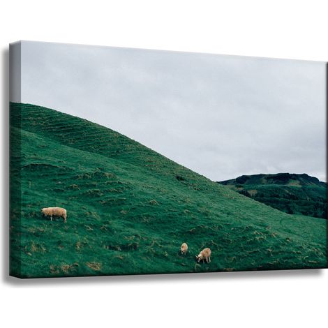 Leinwanddruck Naturweide in den Bergen 60x40