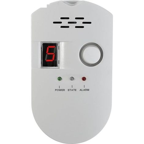 Analyseur de gaz, localisateur de fuites de gaz naturel, testeur, convient à une utilisation professionnelle et domestique (1/5)